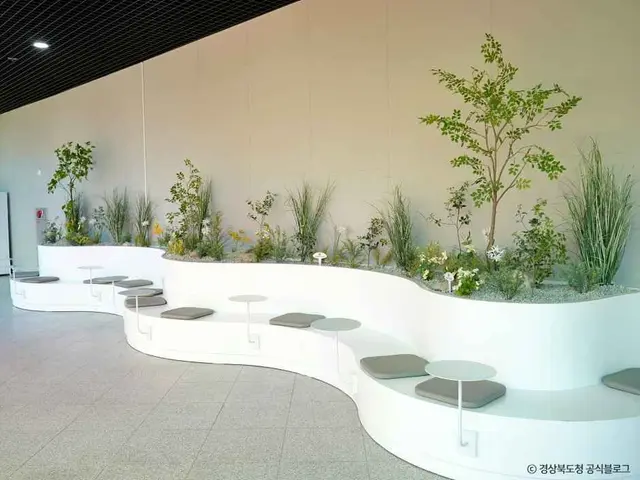 라원 사진