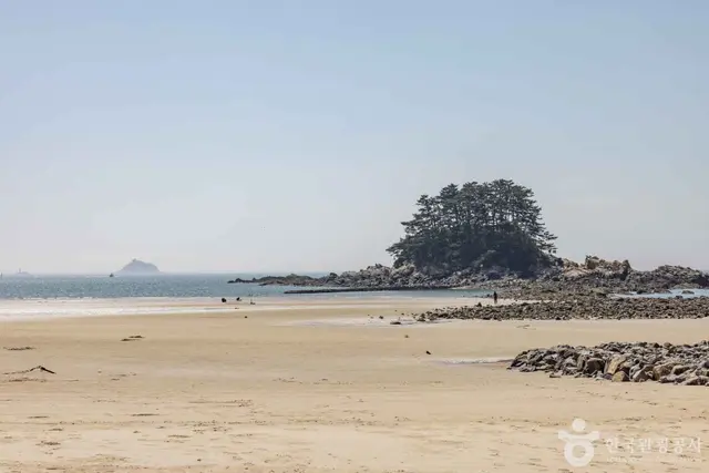 학암포해수욕장 사진