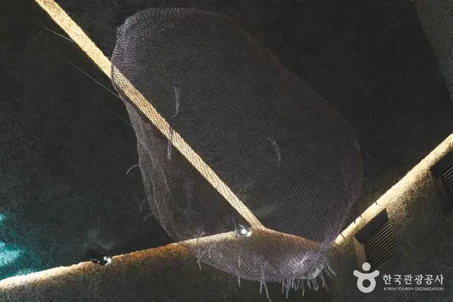 신리성지 사진