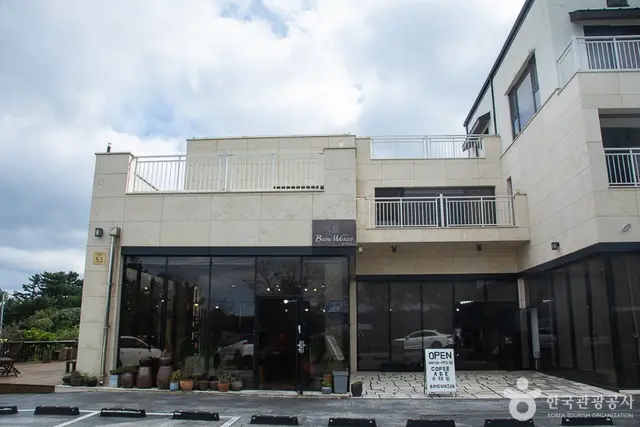 보메와산감귤체험농장 사진