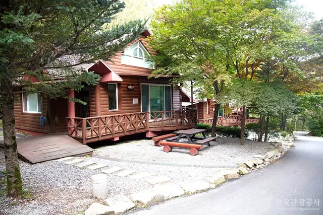 치악산자연휴양림 사진