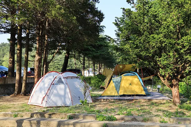 보광농촌체험휴양마을 사진