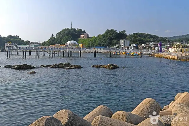 대진항 사진