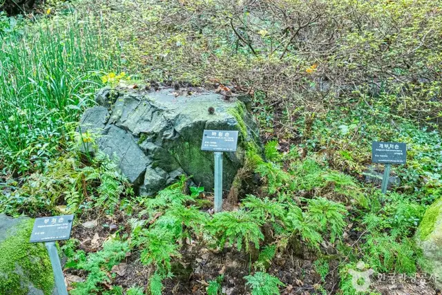 기청산식물원 사진