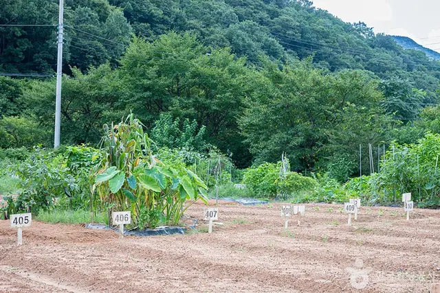 원두막주말농장 사진