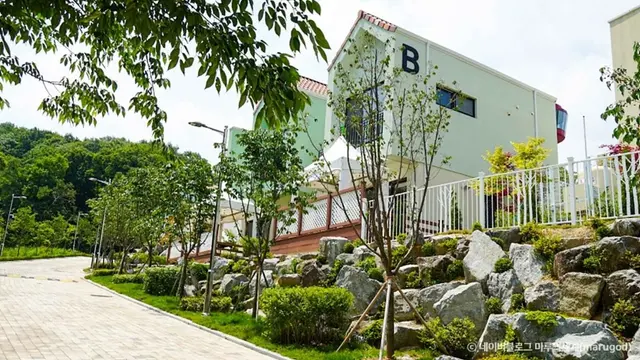 용인자작나무숲 사진