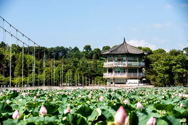 덕진공원 사진