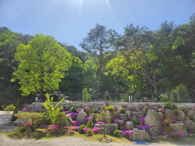 산정호수돌고래캠핑장 사진