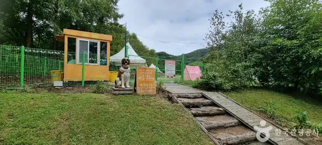 마이애니멀스토리 in 평강랜드 사진