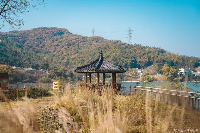 금광호수하늘전망대 사진
