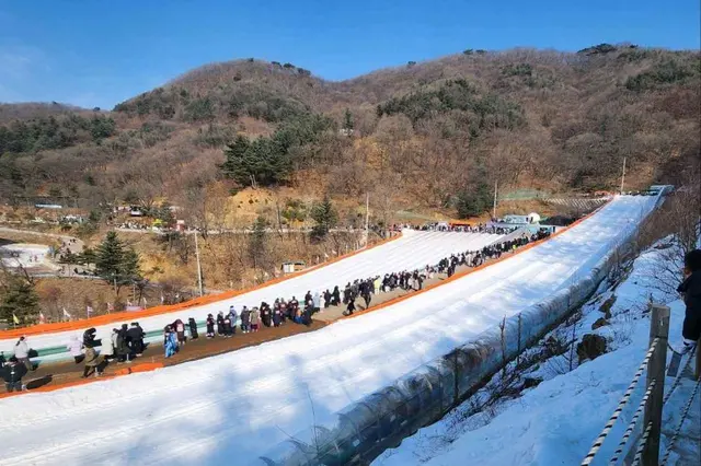 장흥자연휴양림 사진