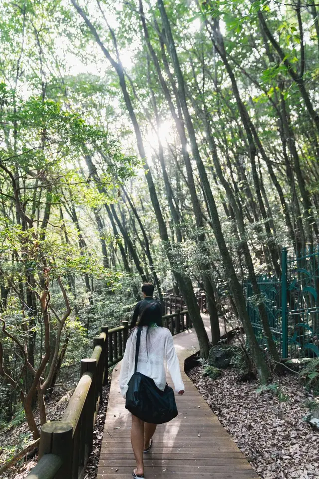 돈내코유원지 사진