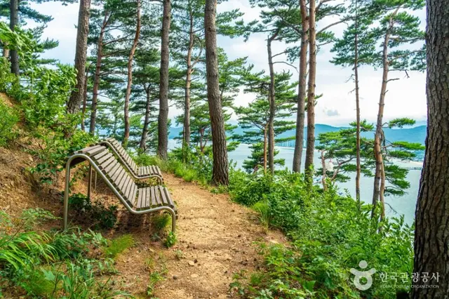 거진등대해맞이공원 사진