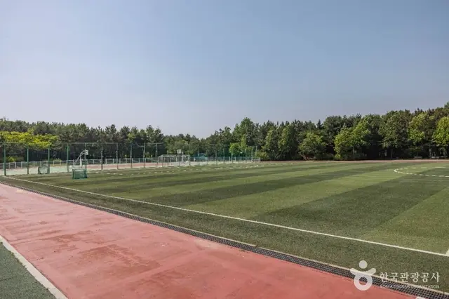 드림파크 주민체육공원 사진
