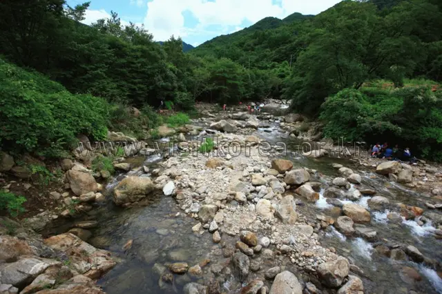 토옥동계곡 사진