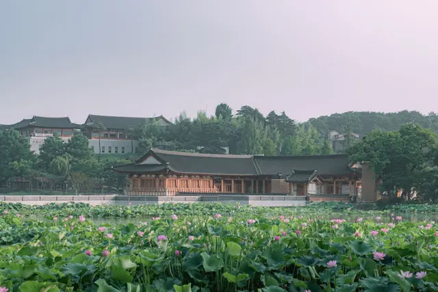 덕진공원 사진