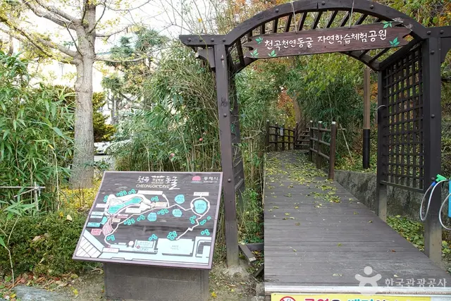 천곡천연동굴 자연학습체험공원 사진