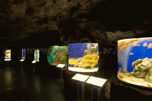 전라남도해양수산과학관 사진