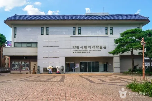 대구약령시한의약박물관 사진
