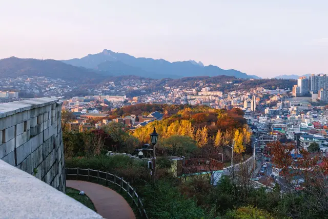마로니에공원 사진