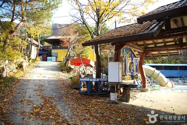 알프스벨리 사계절썰매장 사진