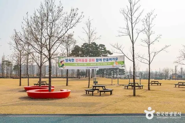 수성패밀리파크 사진