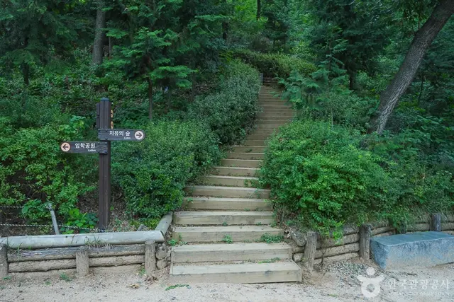 계양산 산림욕장 사진