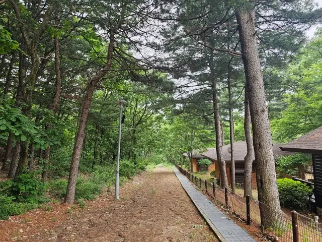 천보산 자연휴양림 사진