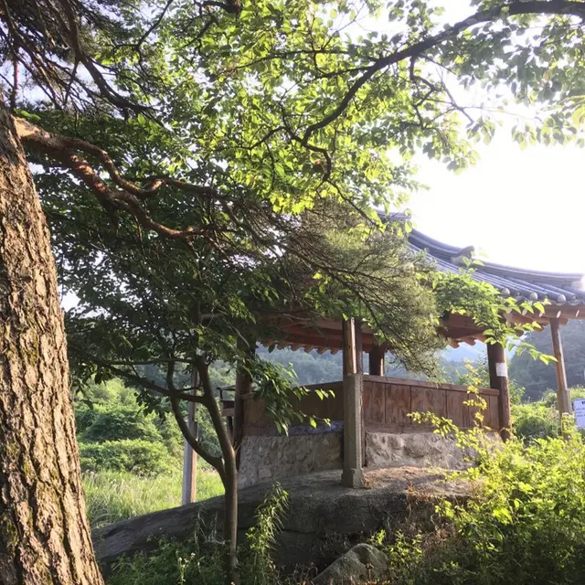 늘예솔 글램핑 사진