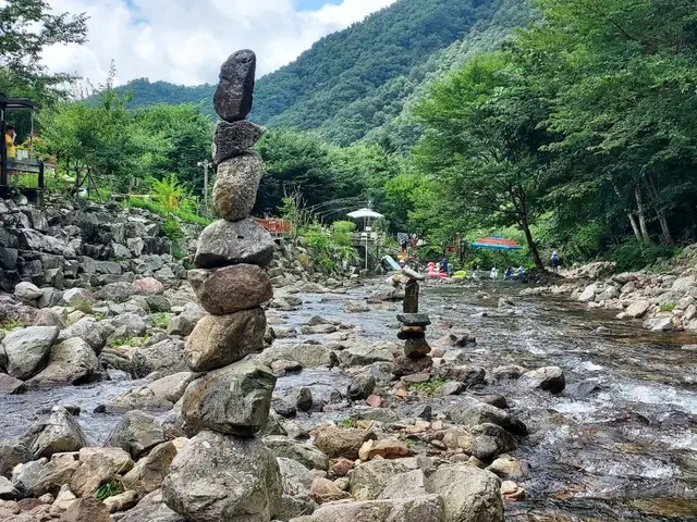 횡성산울림오토캠핑장 사진