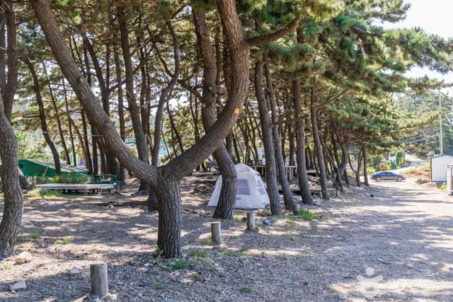 샛별해수욕장 사진