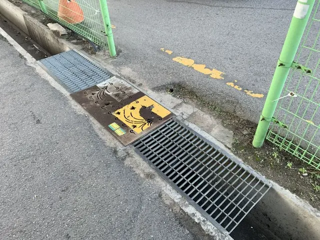 인천 장수동은행나무 사진