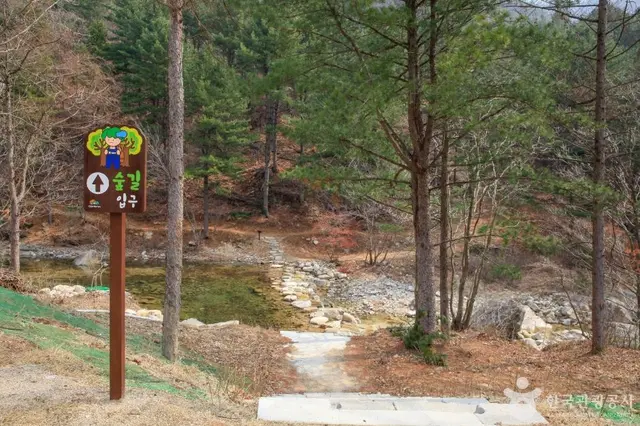 국립춘천숲체원 사진