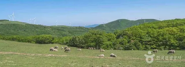 삼양라운드힐 사진