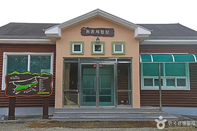 강릉 복사꽃마을 사진