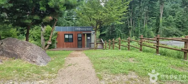 잣향기푸른숲 유아숲체험원 사진