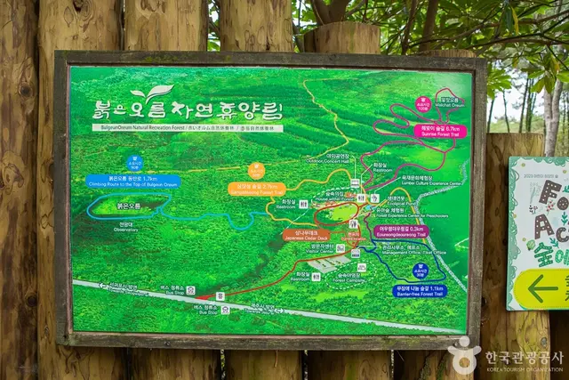 붉은오름자연휴양림 사진
