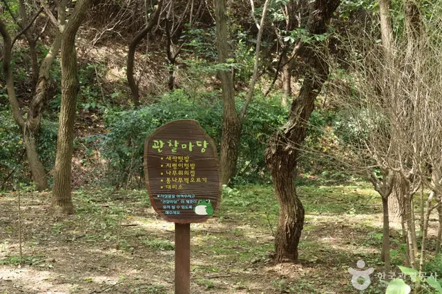 월드컵공원 유아숲체험원 사진
