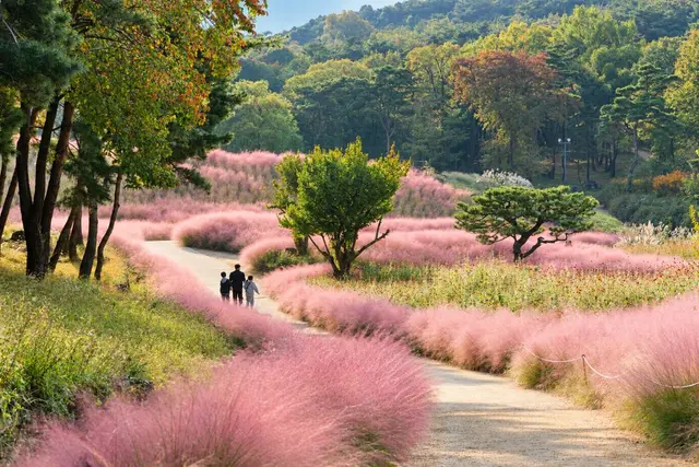 가산수피아 사진