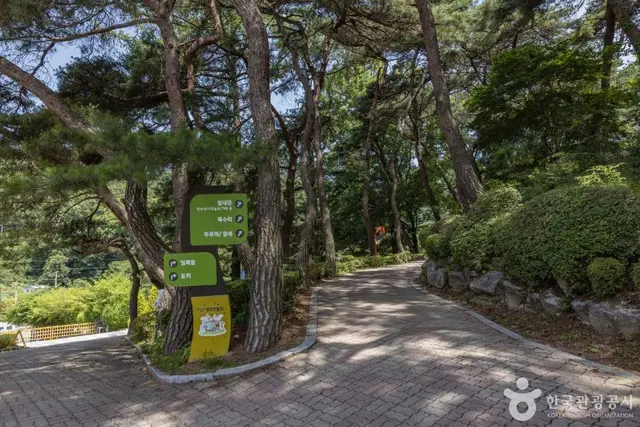 청주랜드 동물원 사진