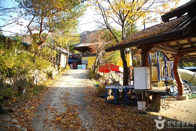 알프스벨리 사계절썰매장 사진