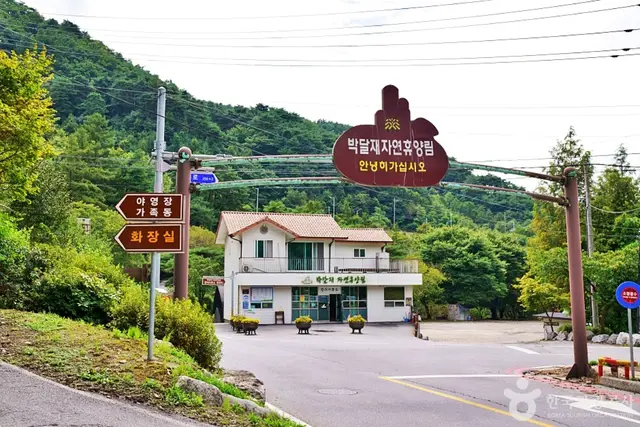 박달재자연휴양림 사진