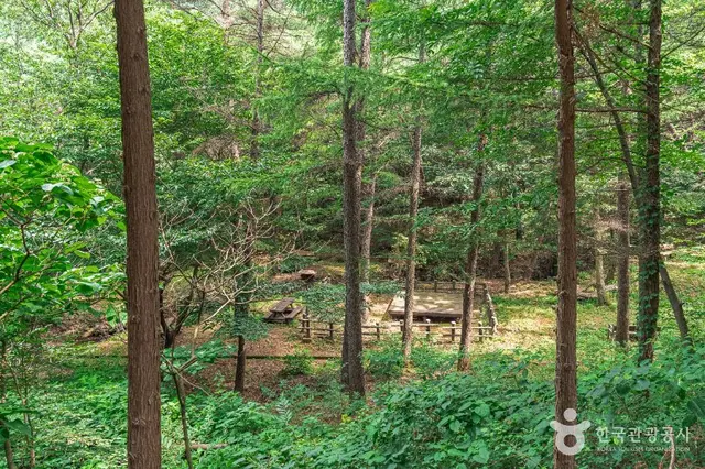 문수산산림욕장 사진