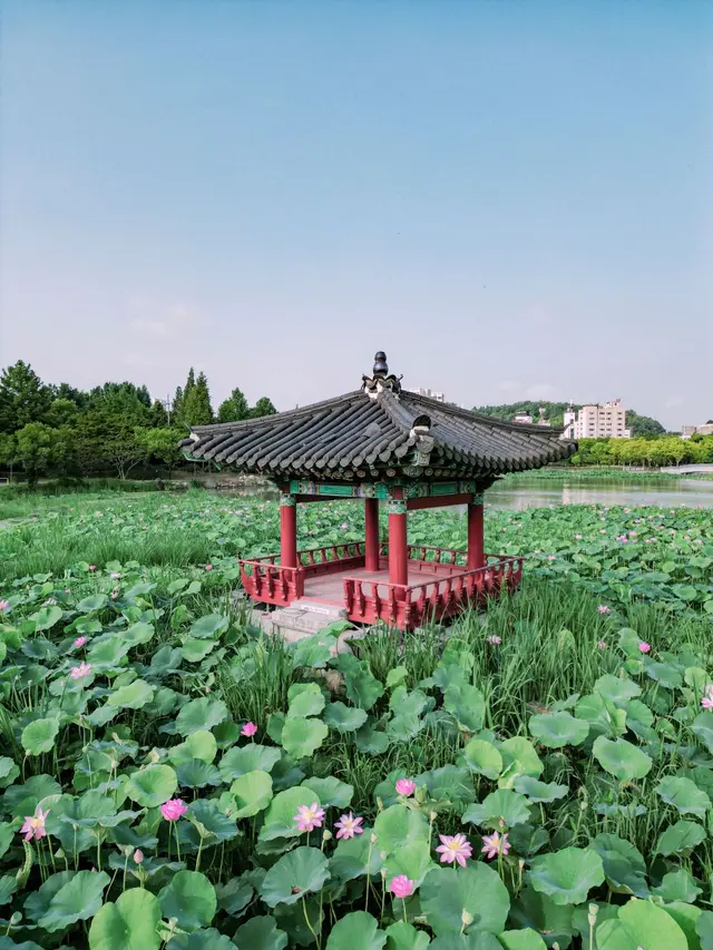덕진공원 사진