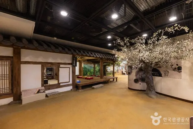 한국교원대학교 교육박물관 사진