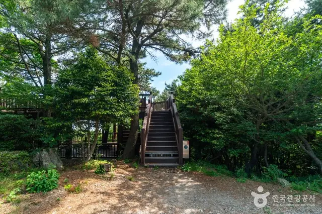 병대도전망대 사진