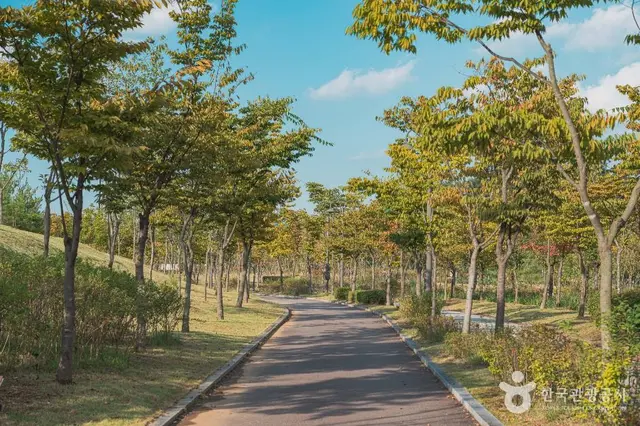 미사한강공원4호 사진