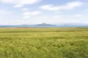 가파도 소망전망대 사진