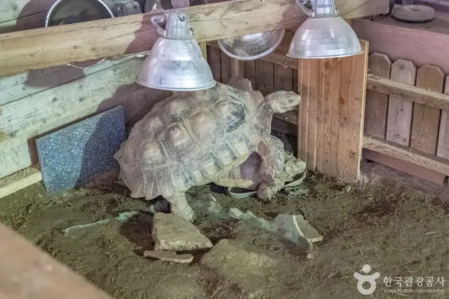 애니멀스토리 사진