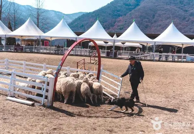 블랙스톤 벨포레 목장 사진